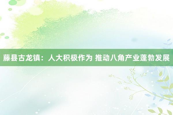 藤县古龙镇：人大积极作为 推动八角产业蓬勃发展