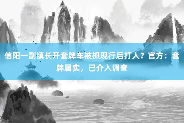 信阳一副镇长开套牌车被抓现行后打人？官方：套牌属实，已介入调查